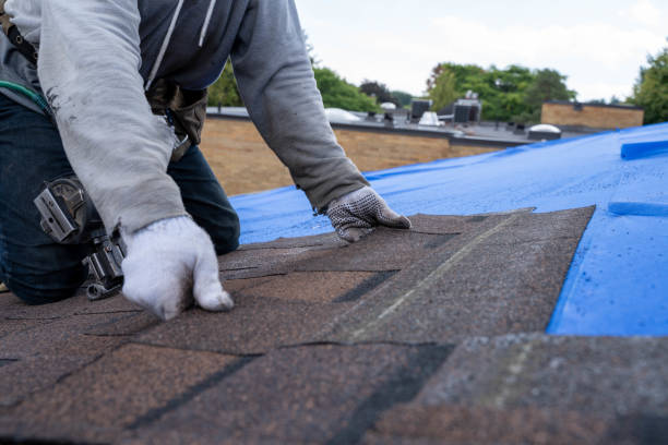 Roof Installation Near Me in Odessa, MO